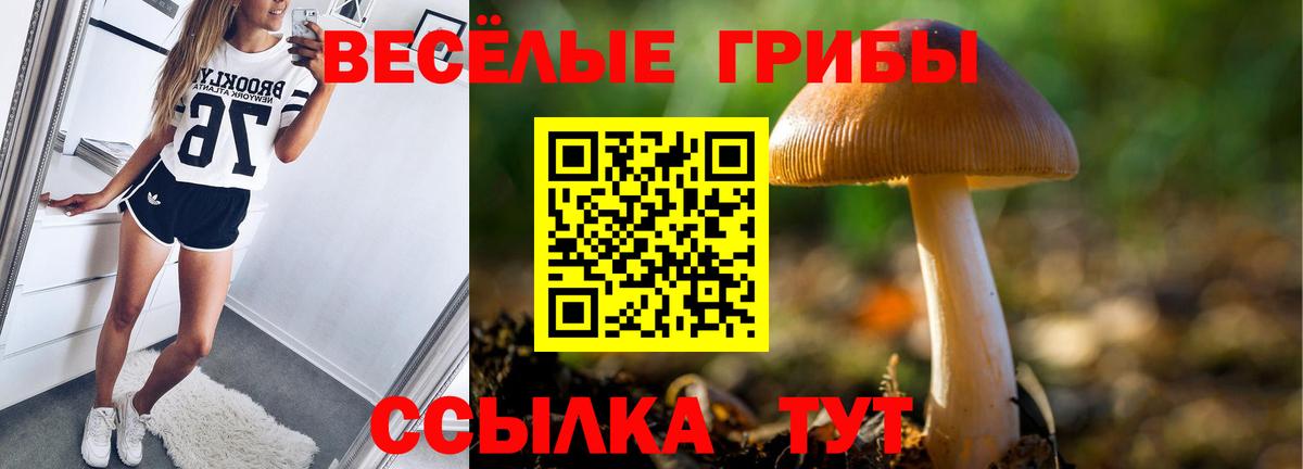Псилоцибиновые грибы ЛСД Новочеркасск